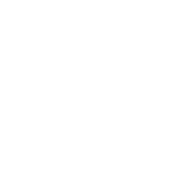 Big Bear Performance